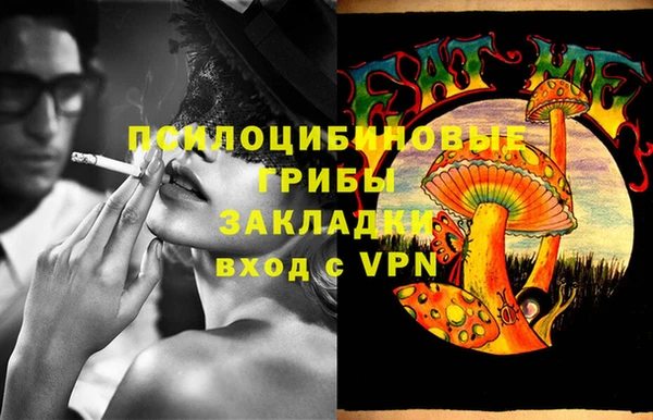 spice Заводоуковск
