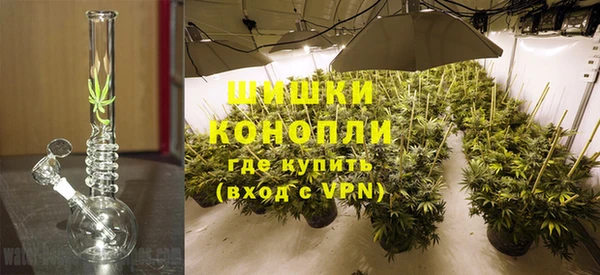 spice Заводоуковск