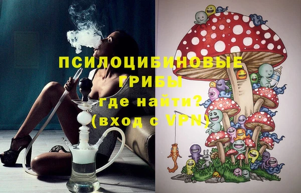 spice Заводоуковск