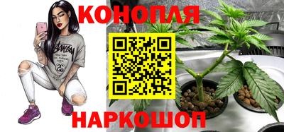 гидра Гусиноозёрск