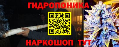 дурь Гусев