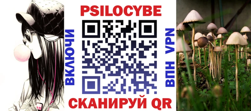 Галлюциногенные грибы Psilocybe  Назрань 
